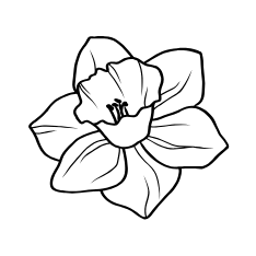 Floral Candle Scents Icon